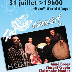 Concert_du_groupe_HUM