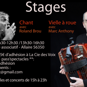Stage_de_vielle_a_roue_chant