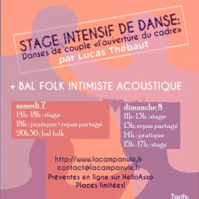 Stage_intensif_danses_de_couple_avec_Lucas_Thebaut_et_bal_folk