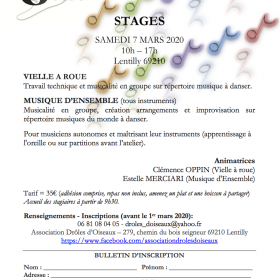 Stages_Vielle_a_Roue_Musique_d_ensemble_tous_instruments