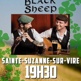 Concert_de_musique_irlandaise_a_Sainte_Suzanne_sur_Vire
