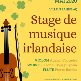 Stage_de_musique_irlandaise_flute_whistle_violon_annule