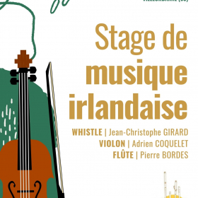 Stage_de_tin_whistle_flute_et_violon_irlandais