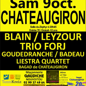 Fest_noz_du_bagad_chateaugiron_les_20_ans