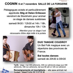 Stage_danses_suedoises_et_Bal_Folk