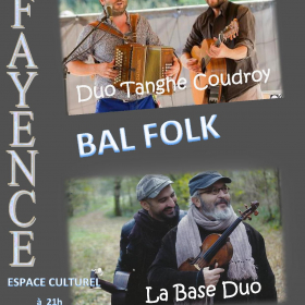Bal_folk_et_stage_de_polskas_suedoises