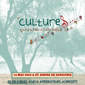 CultureS_ca_pulse_dans_les_arts_terres