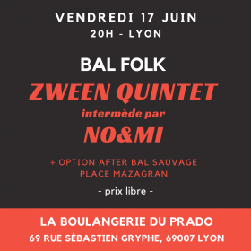 Bal_Folk_Zween_Quintet_intermede_par_No_mi