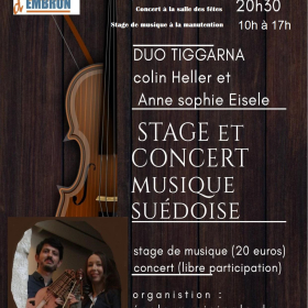 Stage_et_concert_musique_suedoise