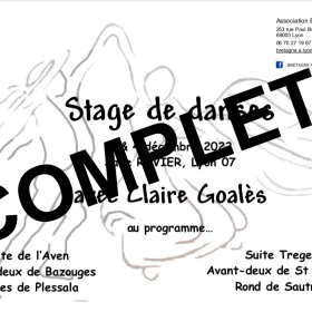 Stage_de_danses_bretonnes