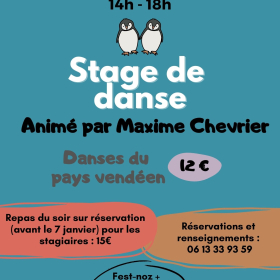 Stage_de_danses_Festnoz