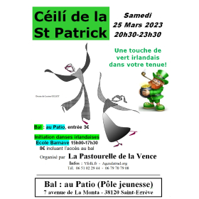 Mini_stage_Ceili_de_la_Saint_Patrick