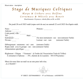 Stage_de_musique_celtique_Harpe_et_Cithare_Cornemuse_16pouces