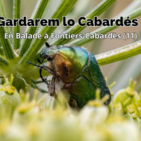 Gardarem_lo_Cabardes_En_Balade_a_Fontiers_Cabardes_AUDE