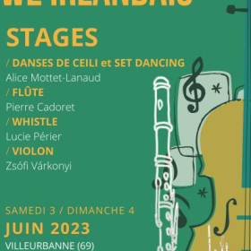 Stage_de_musique_irlandaise_whistle_flute_violon_danse