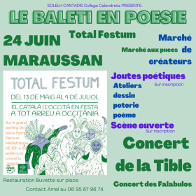 Bal_dans_le_cadre_du_Total_Festum_de_Maraussan