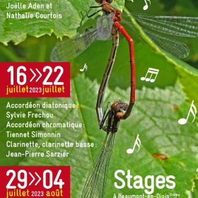Stage_de_clarinette_avec_Jean_Pierre_Sarzier