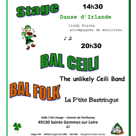 Stage_de_danses_Irlandaises_et_Bal_Folk