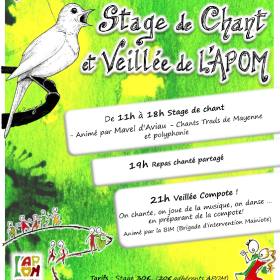 Stage_de_Chant_Veillee_Compote