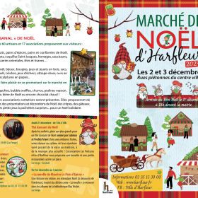 P_tite_fleur_des_champs_une_touche_de_folk_au_marche_de_Noel