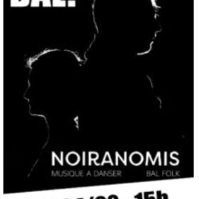 BAL_FOLK_avec_Noiranomis_et_Simon_Gielen_solo