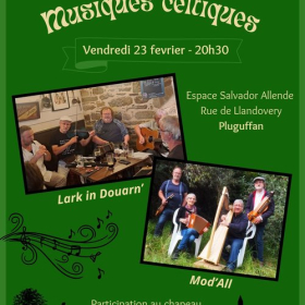 Concert_de_musiques_celtiques