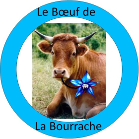 Boeuf_de_la_Bourrache