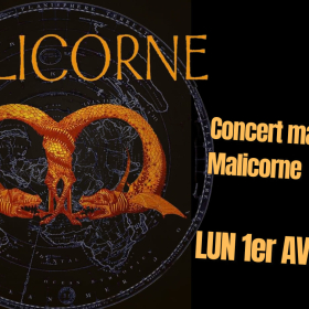 concert_Malicorne