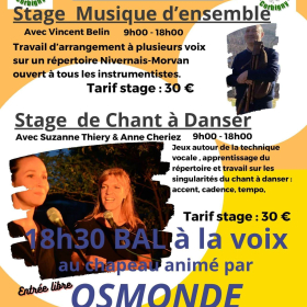 Stage_de_chant_et_musique_d_ensemble_bal