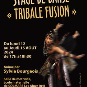 Stage_de_danse