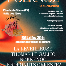 FOLKNOZ_stage_bal_et_fest_noz