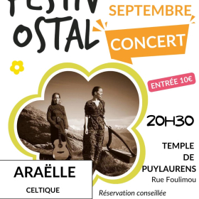 Concert_du_duo_ARAELLE_Trad_celtique