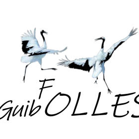 Atelier_danse_de_Bal_folk