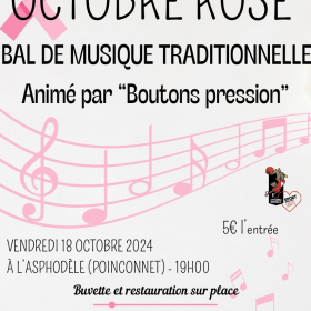 Bal_Musiques_Traditionnelles