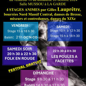 Festival_Dans_Trad