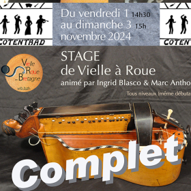 Stage_de_Vielle_a_Roue