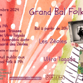 Grand_Bal_Folk_au_Point_Favre_avec_les_Zeoles_et_Ultra_Tagada