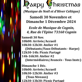 Harpy_Christmas_stage_celtique