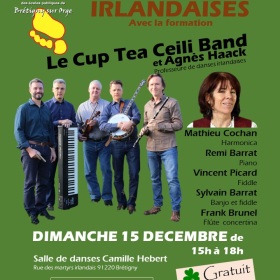 Ceili_irlandais