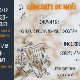 Concert_a_la_bougie_avec_Sauvatge_et_Incordus