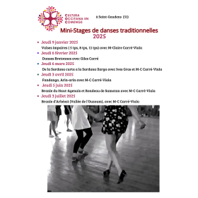 Mini_stage_Danses_trad_Valses_impaires_avec_MC_Carre_Viala