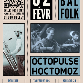 Bal_folk_anime_par_Octopulse_et_Hoctomose