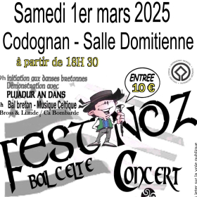 16eme_Fest_Noz_caritatif_de_Terre_Des_Enfants