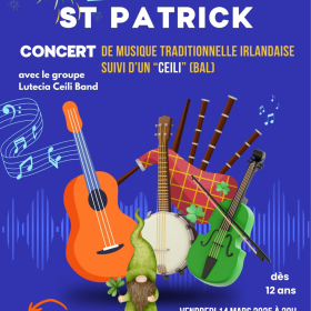 Concert_de_musique_traditionelle_irlandaise_suivi_d_un_bal