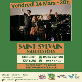 Spectacle_danse_et_musique_avec_Tap_Jig_et_Eire_n_Caux