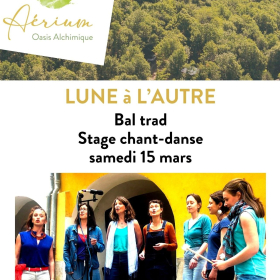 bal_a_voix_Lune_a_l_autre