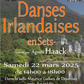 Stage_de_danses_irlandaises_en_sets