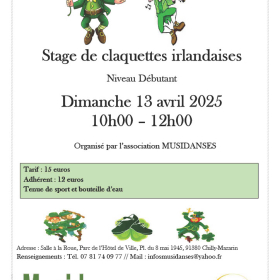 Stage_de_claquettes_irlandaises