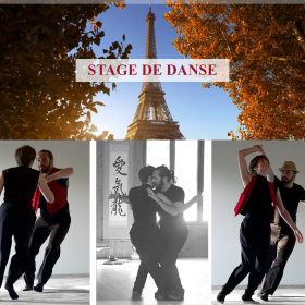 Stage_de_danse_de_couple_Des_variations_au_co_guidage