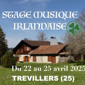 Stage_de_musique_traditionnelle_irlandaise